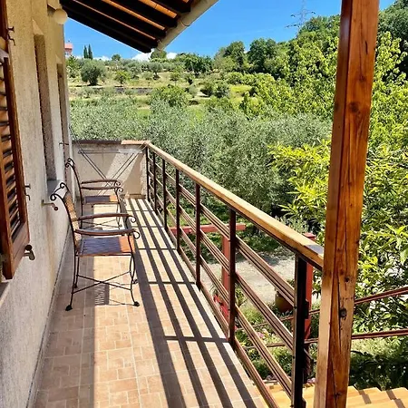 Apartment Olive Grove Izola Exterior photo