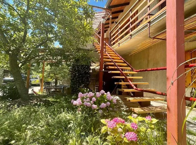 Apartment Olive Grove