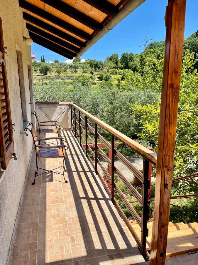 Olive Grove *